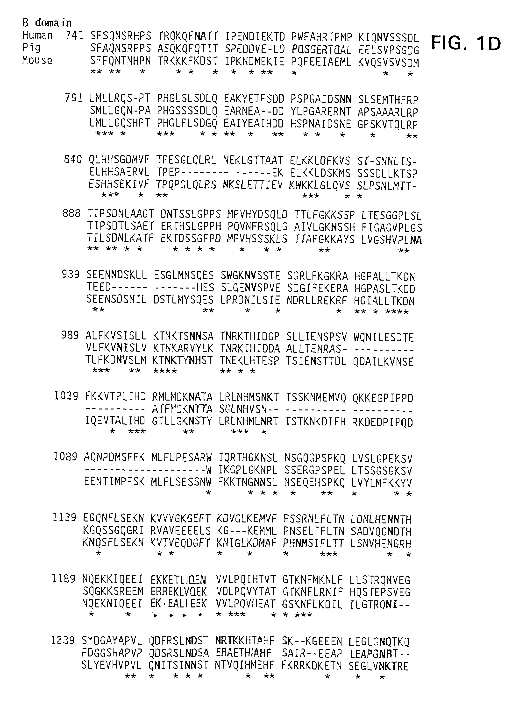 Modified factor VIII