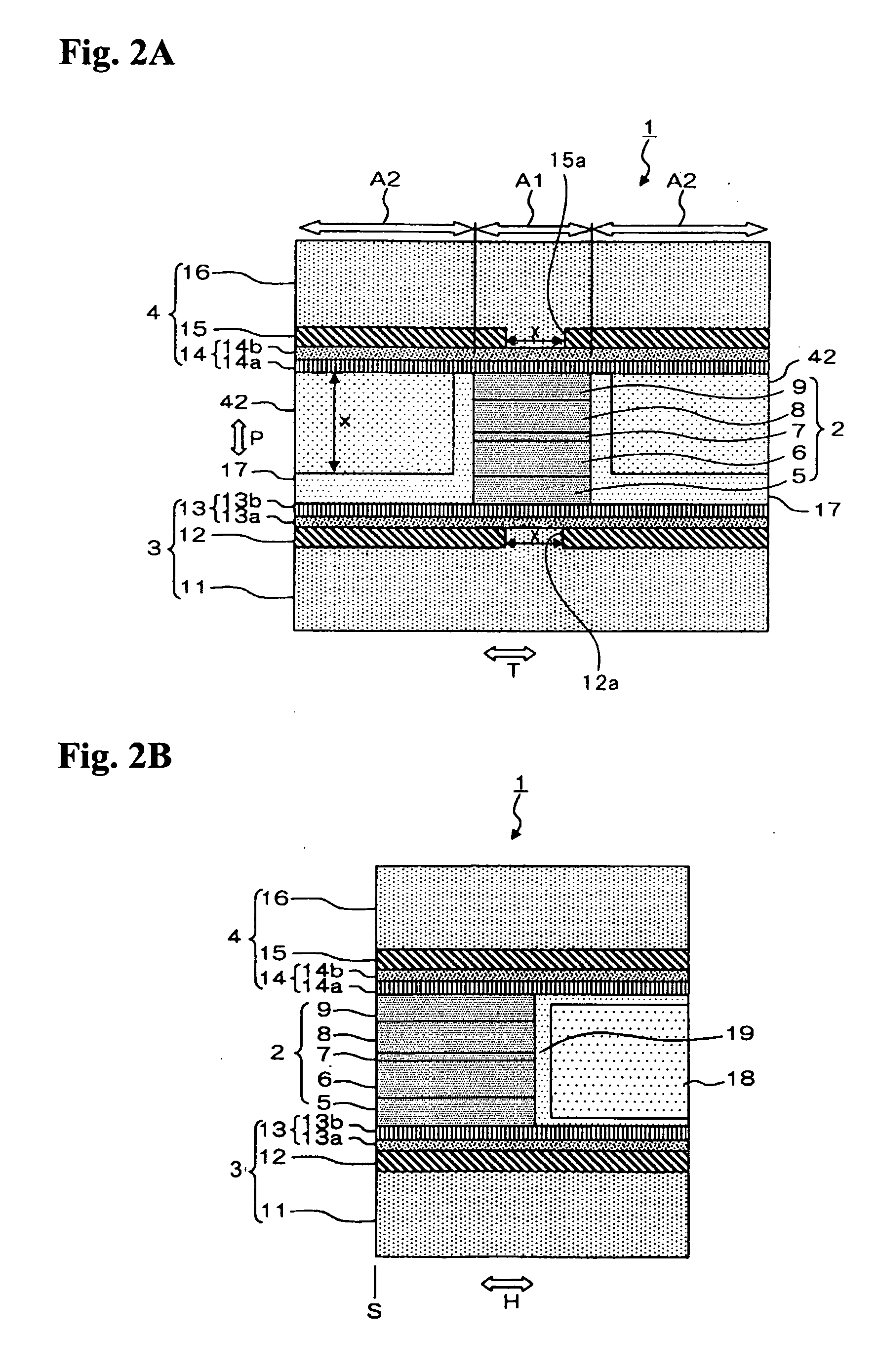 Thin film magnetic head having a pair of magnetic layers whose magnetization is controlled by shield layers