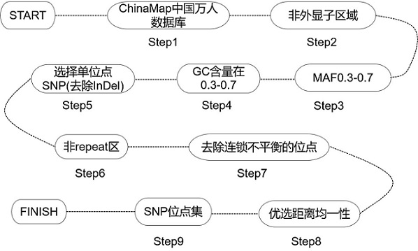 A method for constructing a target collection for homologous recombination repair defect detection