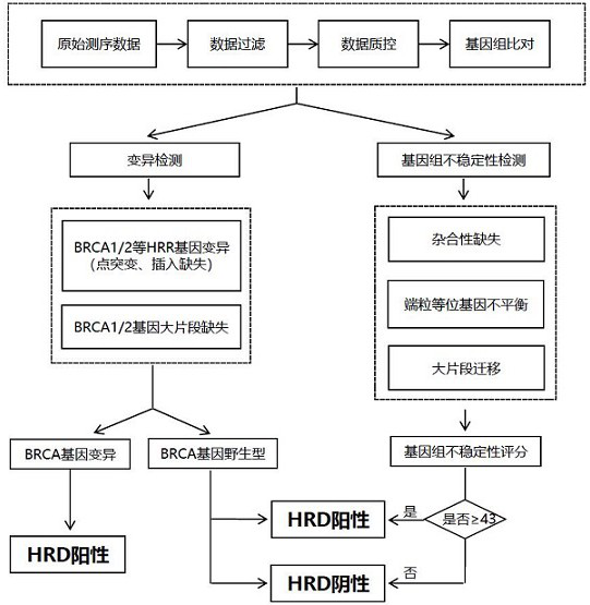 A method for constructing a target collection for homologous recombination repair defect detection