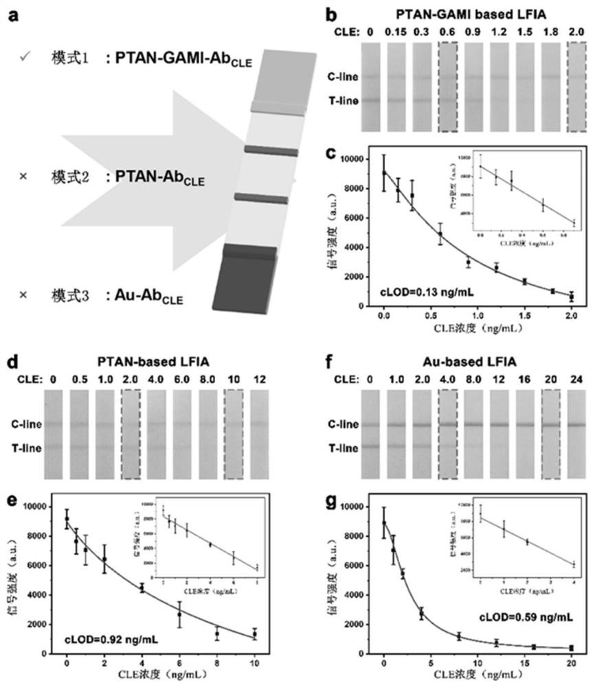 Tannic acid immune network and clenbuterol hydrochloride test strip detection method