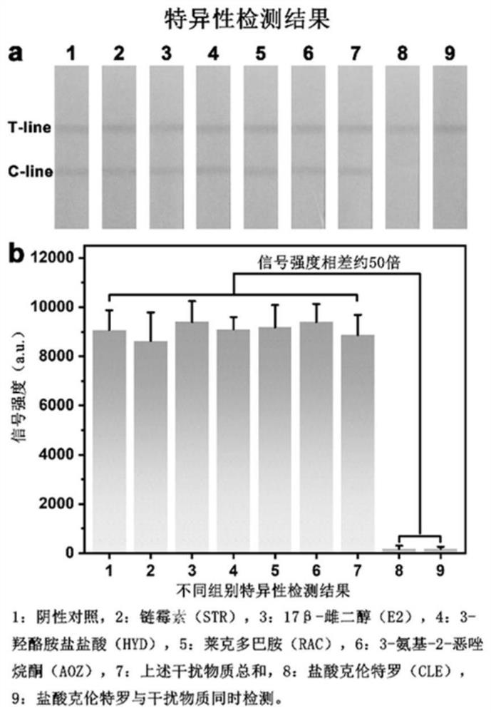 Tannic acid immune network and clenbuterol hydrochloride test strip detection method