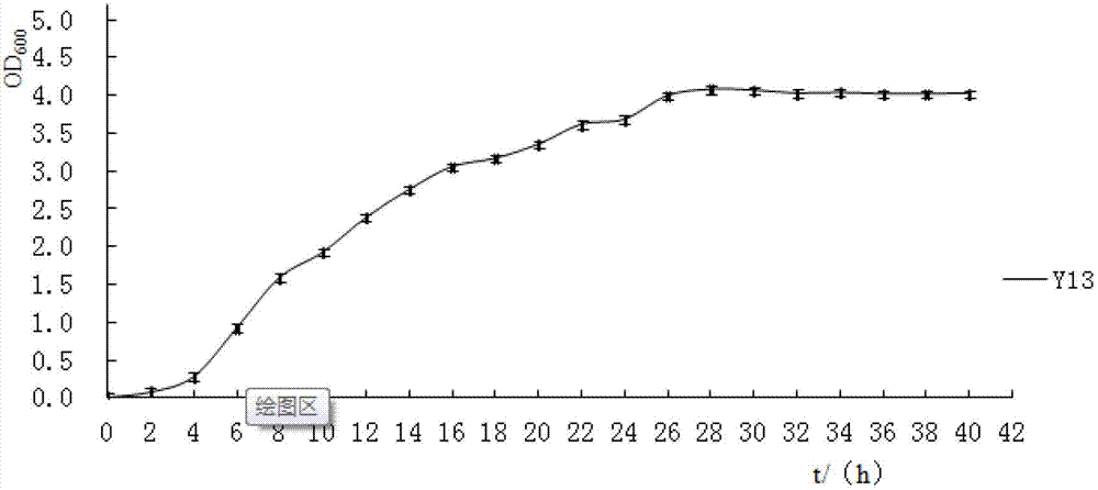 Pseudomonas fluorescens Y13, and preparation method and applications thereof