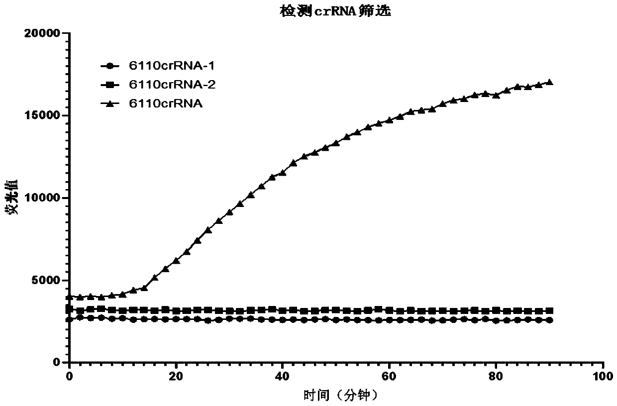 Method for detecting Mycobacterium tuberculosis from sputum