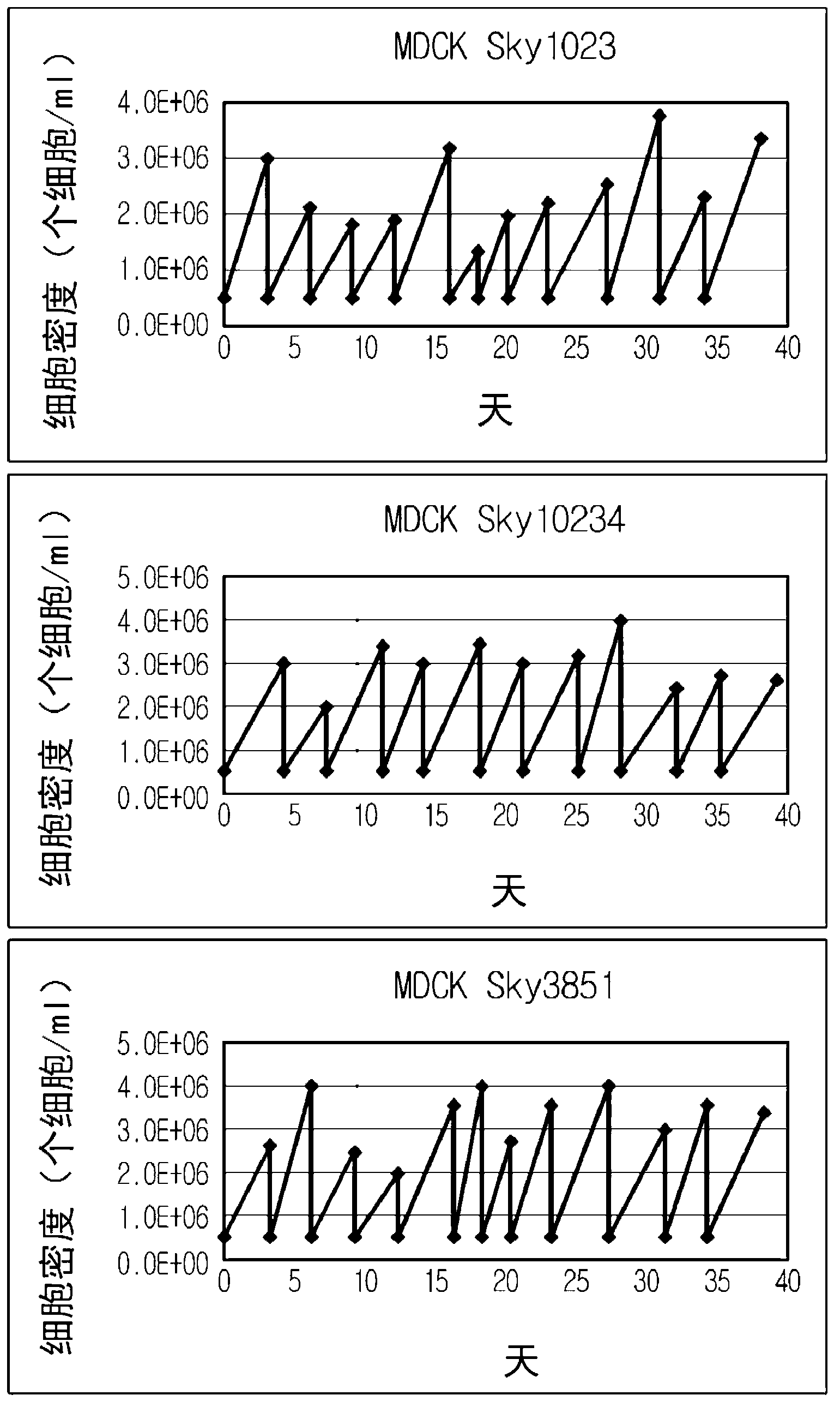 MDCK-derived cell lines adapted to serum-free culture and suspension culture and method for preparing vaccine virus using the cells