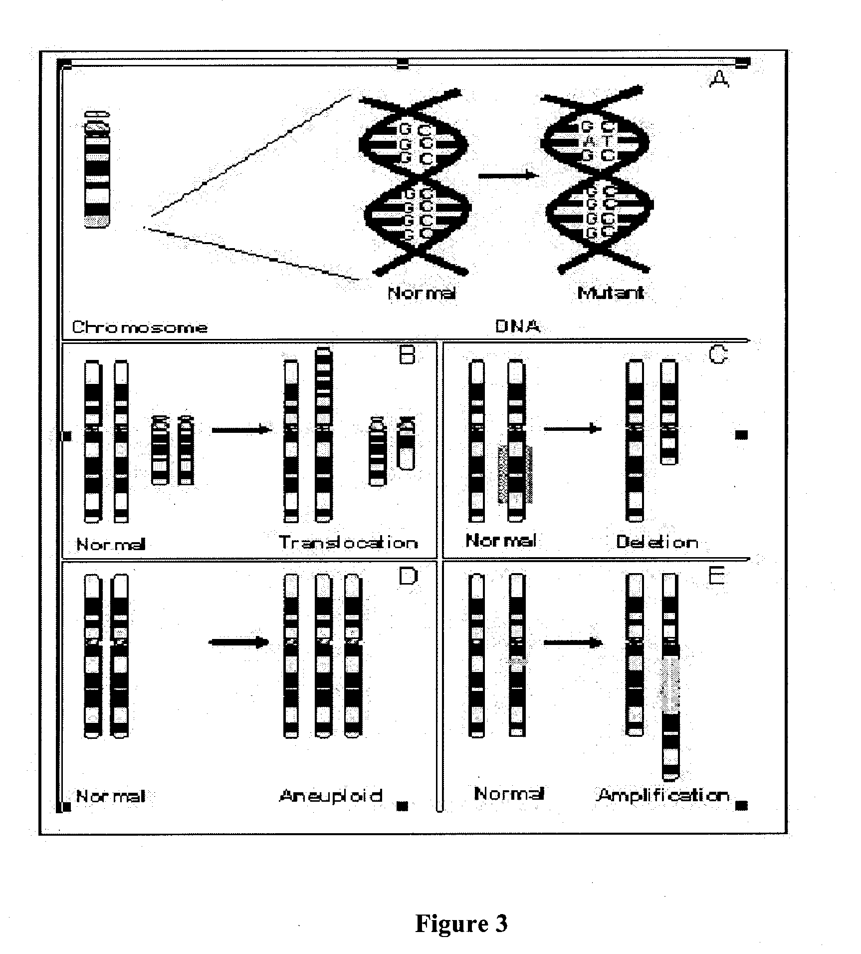 Evaluating Genetic Disorders