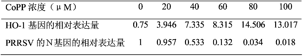 HO-1 and HO-1 inducer for inhibiting PRRS virus (PRRSV) infection as novel blocker