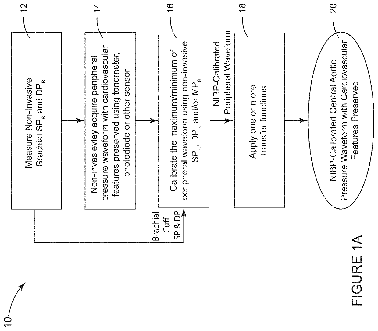 Central aortic blood pressure and waveform calibration method