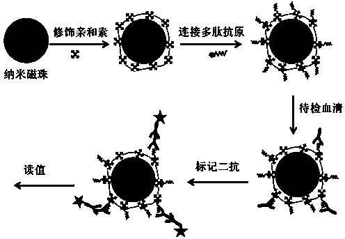 Method for detecting Miltenberger blood group antibody