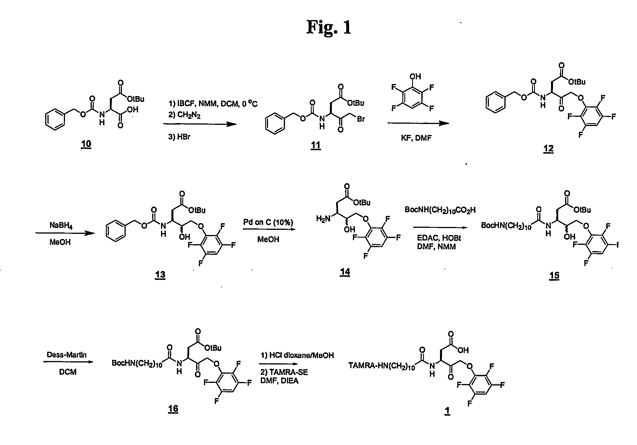 Activity-based probes and methods of their preparation ans use