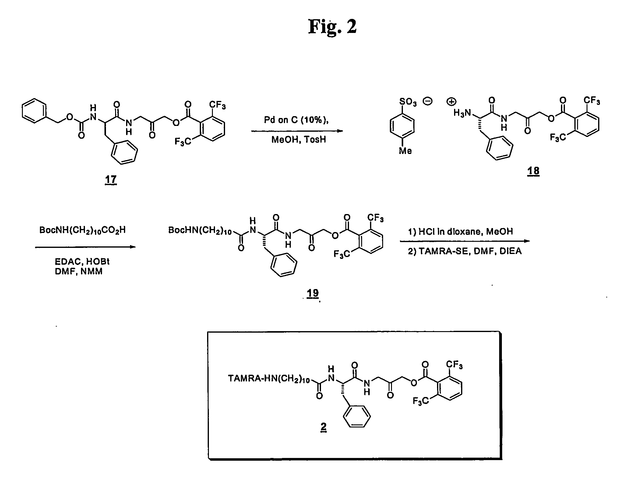 Activity-based probes and methods of their preparation ans use