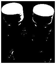 Double-dosage-form moisturizing essence and preparation method thereof