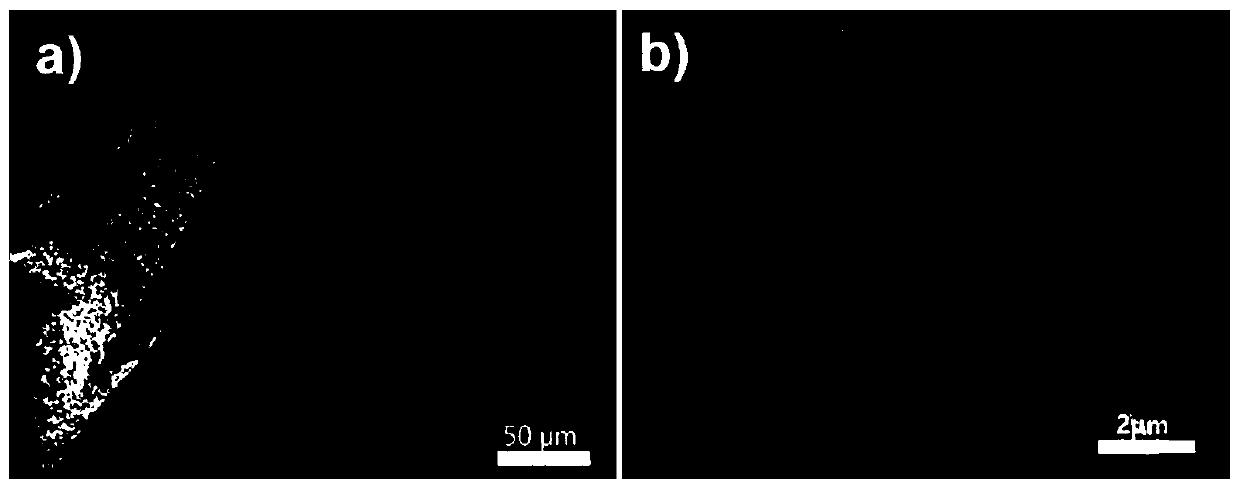 Composite metal lithium negative electrode, preparation method and metal lithium battery