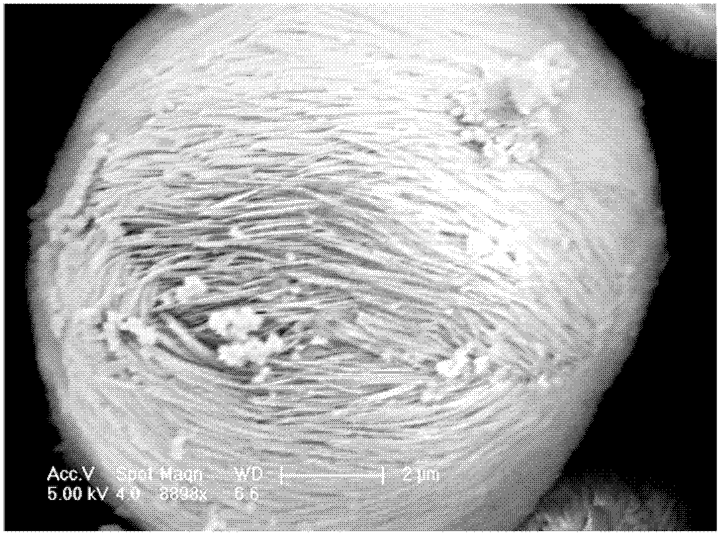 Lithium iron phosphate secondary structure, preparation method of the lithium iron phosphate secondary structure, and lithium ion battery