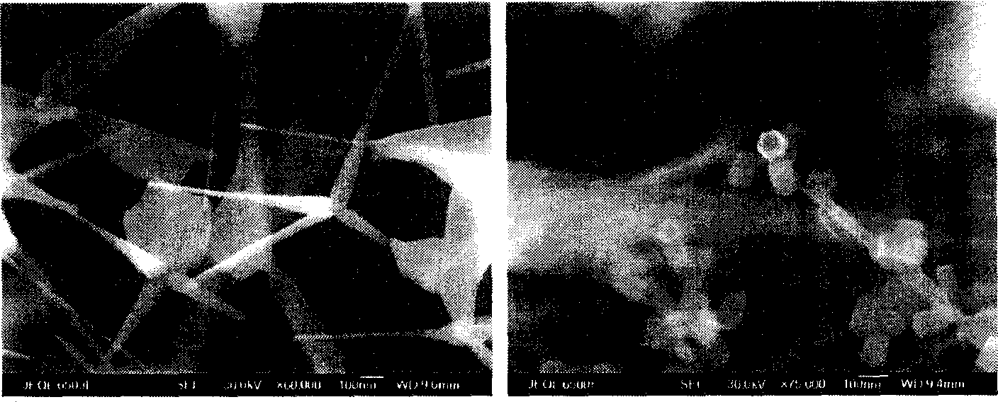 Method and device for in situ preparing zinc oxide nanometer crystal using coaxial oxygen transporting laser