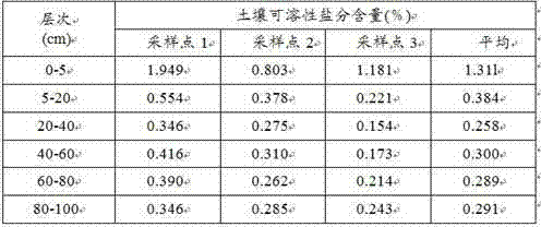 Saline-alkali soil improving agent and its preparation method