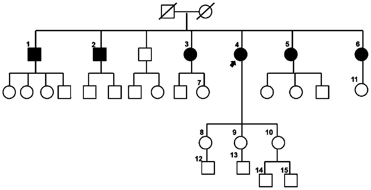 Retinitis pigmentosa mutant site and application thereof