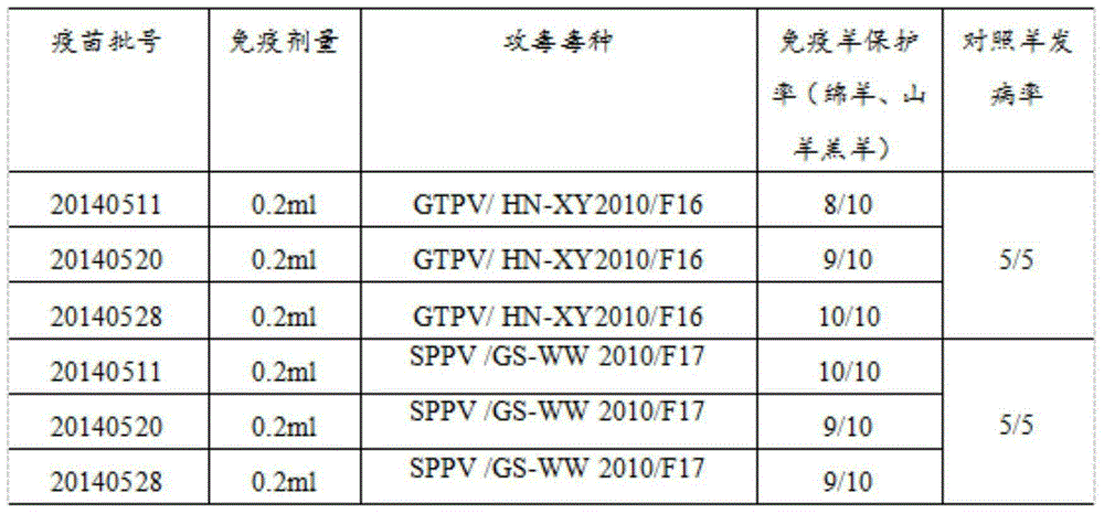 Goatpox and sheep pox bivalent cell attenuated vaccine as well as preparation method and application thereof