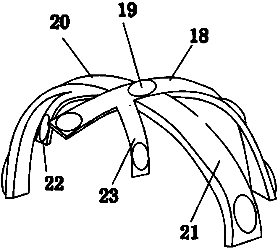 Electromagnetic Wave Therapy Apparatus