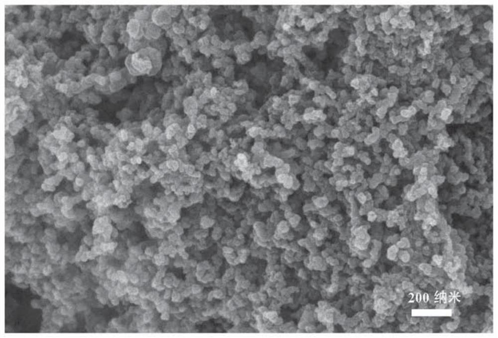 Non-precious metal catalyst for catalyzing oxygen reduction and preparation method thereof