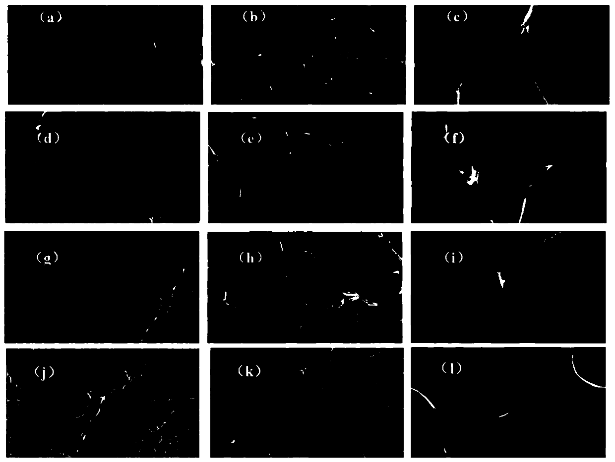 Method for preparing mesoporous carbon material by catalytically activating sodium lignin sulfonate with organic sylvite