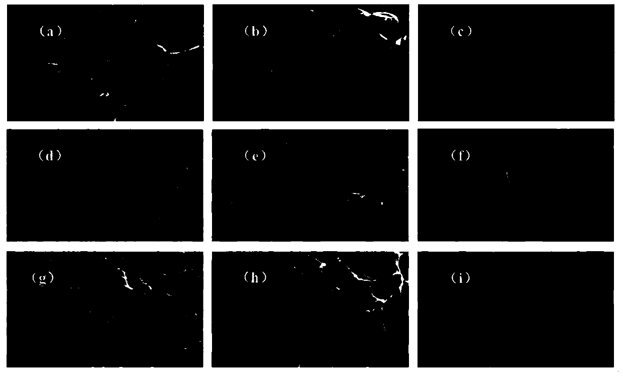 Method for preparing mesoporous carbon material by catalytically activating sodium lignin sulfonate with organic sylvite