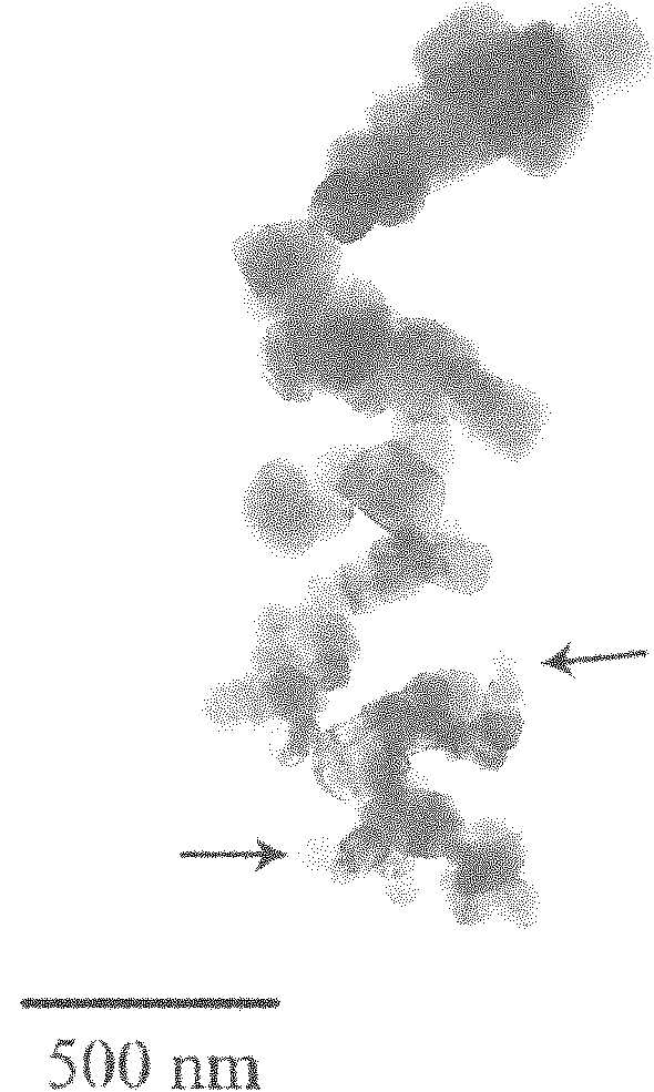 Method for preparing flame-retardant anti-dripping copolyester fibers