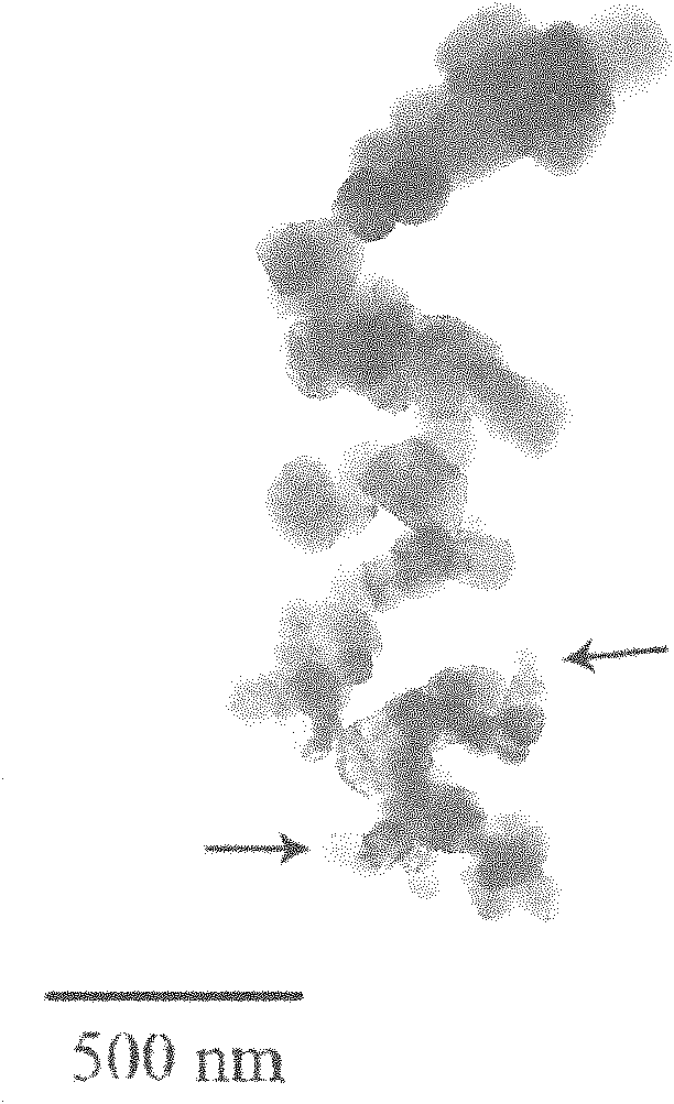 Method for preparing flame-retardant anti-dripping copolyester fibers