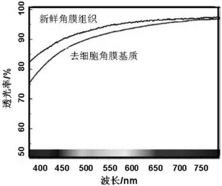 Application of acellular cornea stroma lens in treating ophthalmic diseases