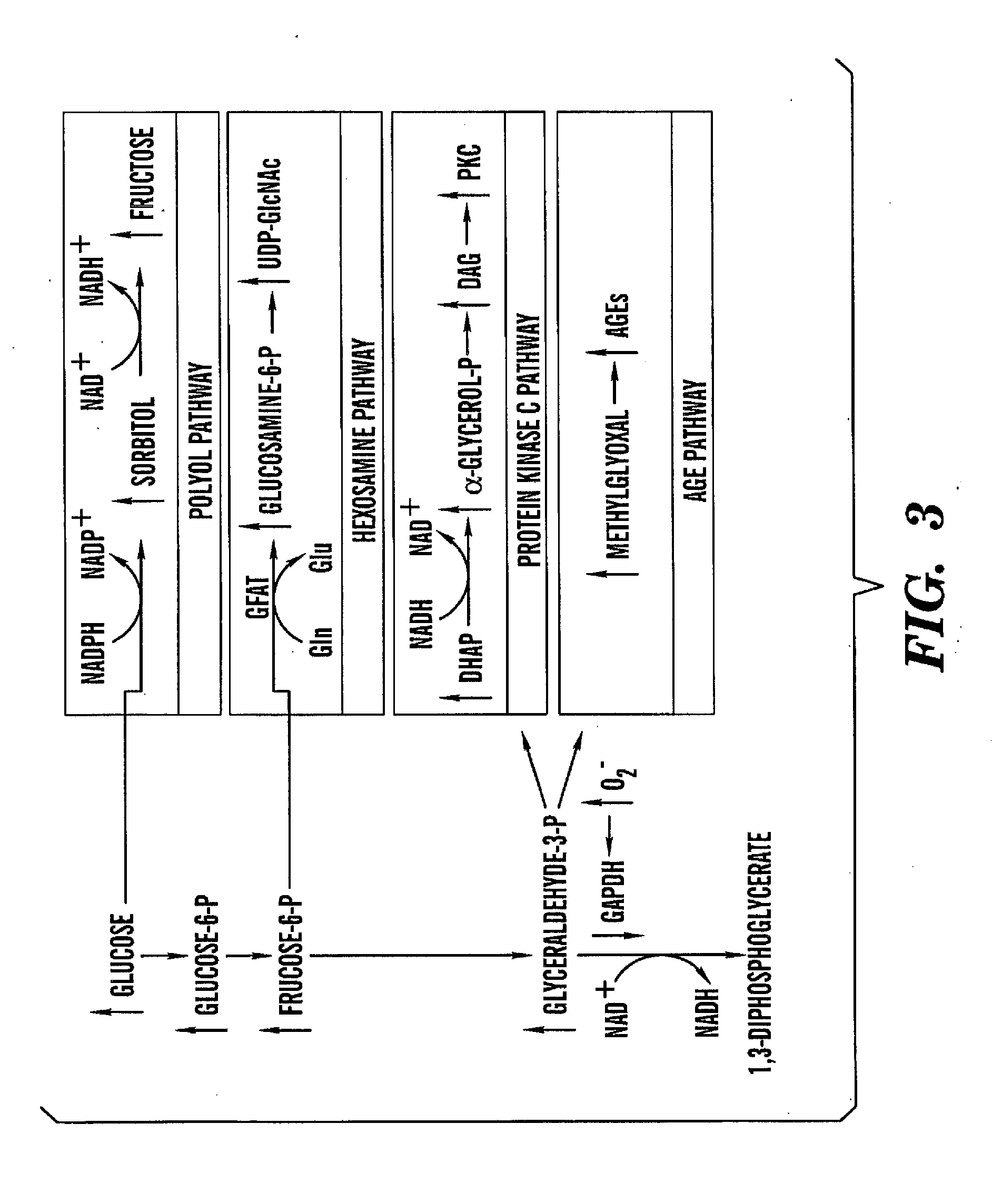 Method Of Treating Or Preventing Pathologic Effects Of Acute Increases In Hyperglycemia And/Or Acute Increases Of Free Fatty Acid Flux