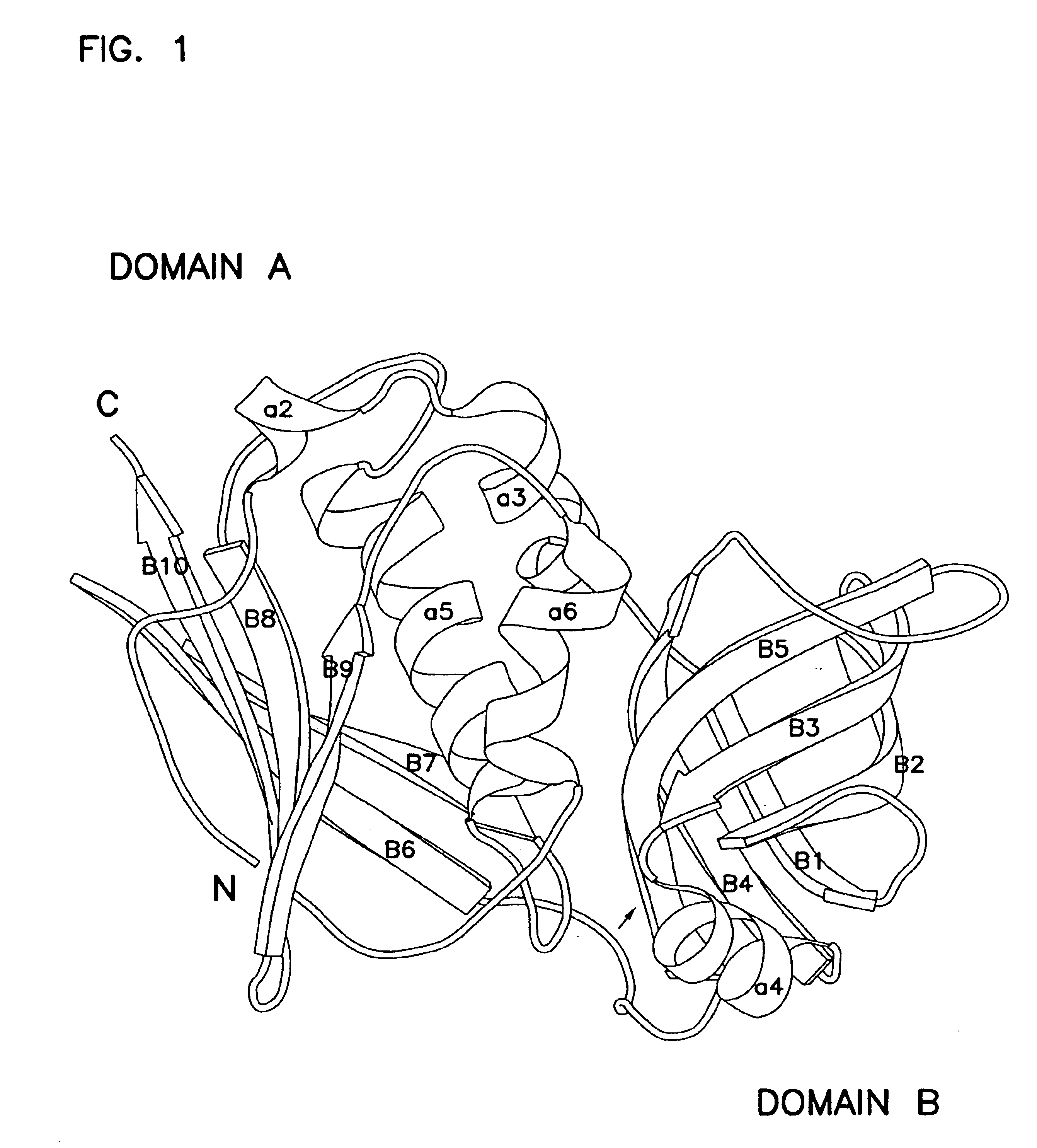 Mutants of Streptococcal toxin A and methods of use