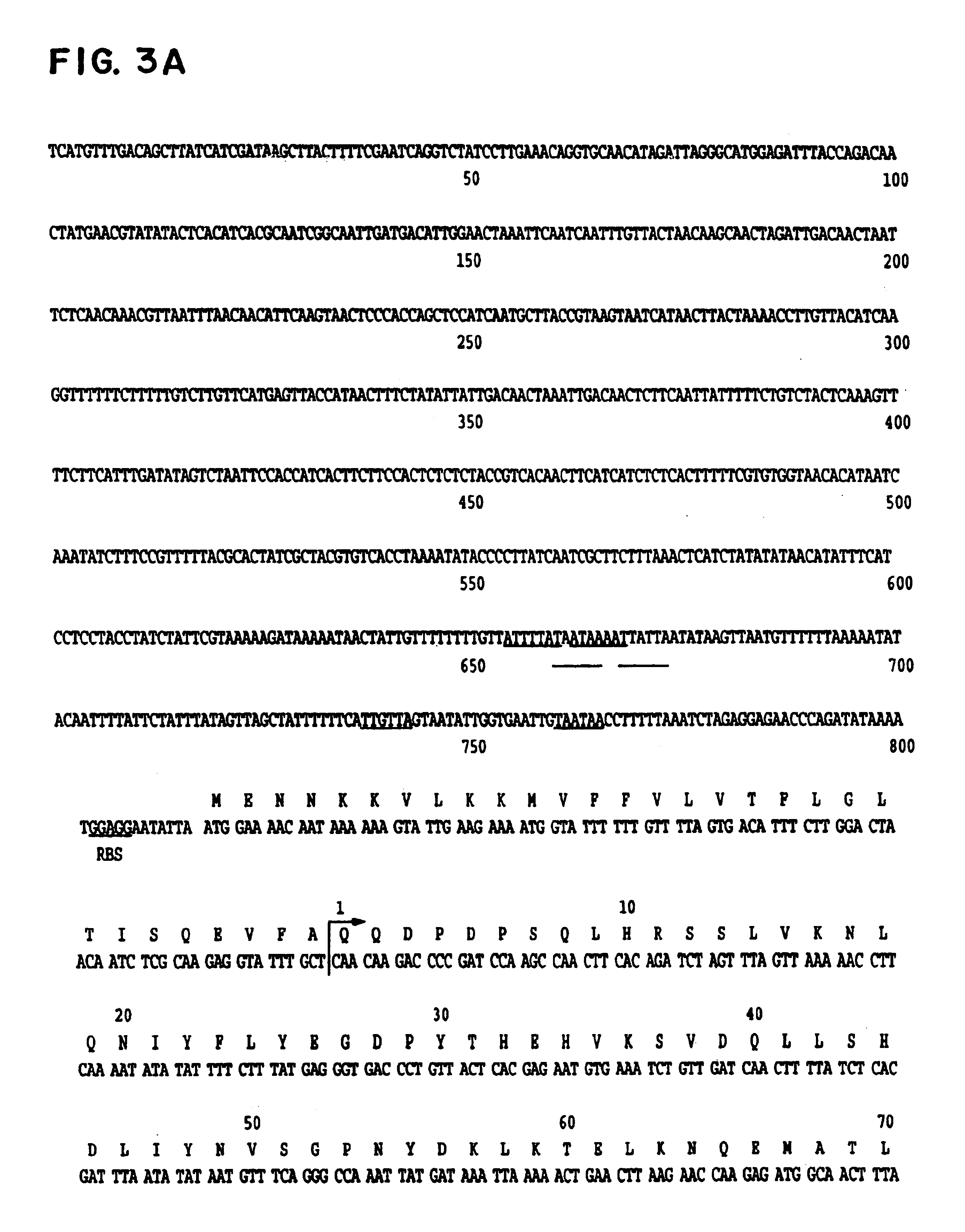 Mutants of Streptococcal toxin A and methods of use