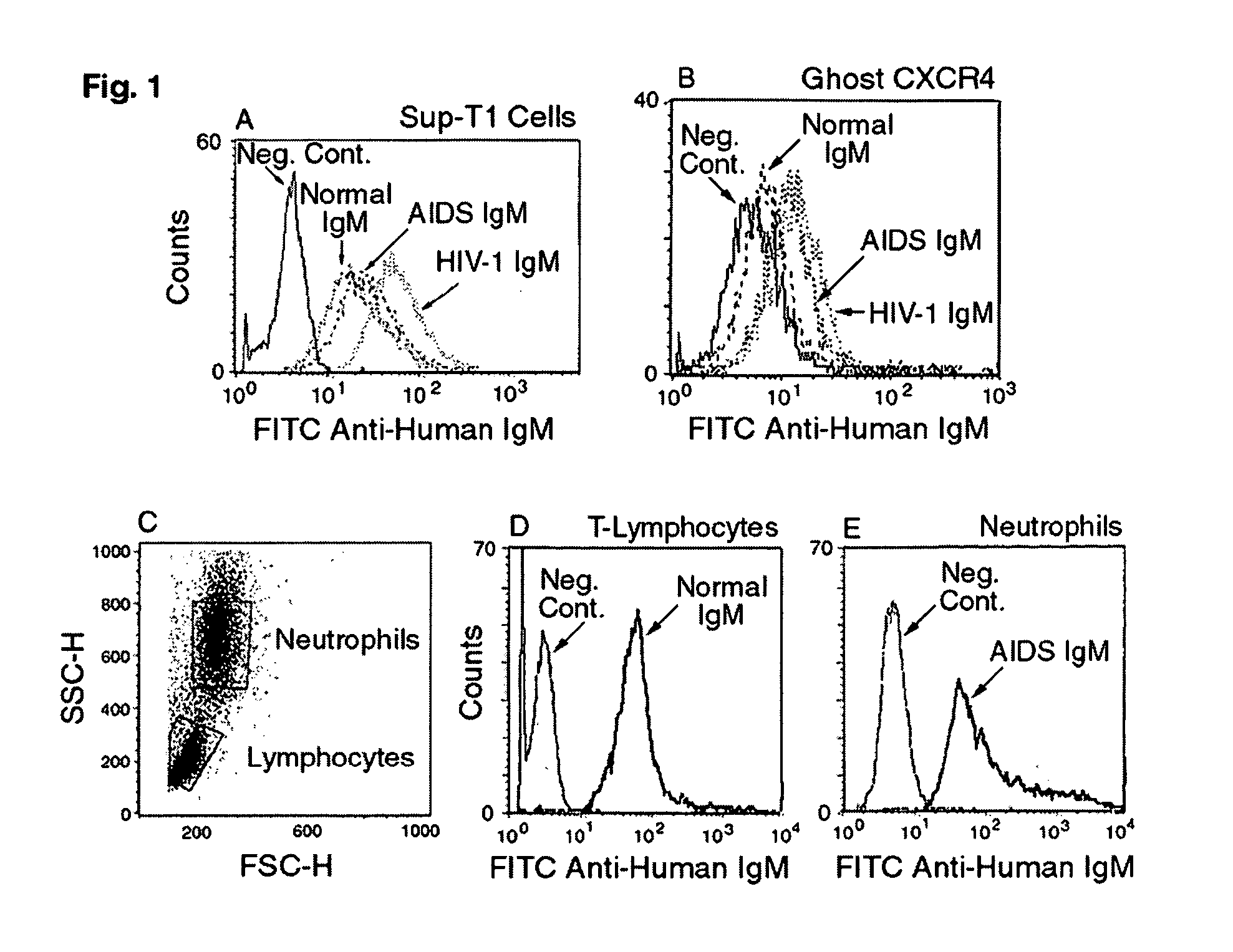 Naturally occuring IgM antibodies that bind lymphocytes