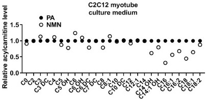 Application of mitochondrial function intervention material in preparation of health care products or drugs for improving mitochondrial function and screening method thereof