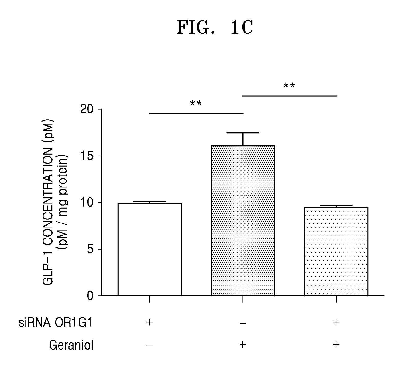 Pharmaceutical composition for preventing or treating diabetes mellitus, method for preventing or treating diabetes mellitus, and method for screening for diabetes mellitus therapeutic agent