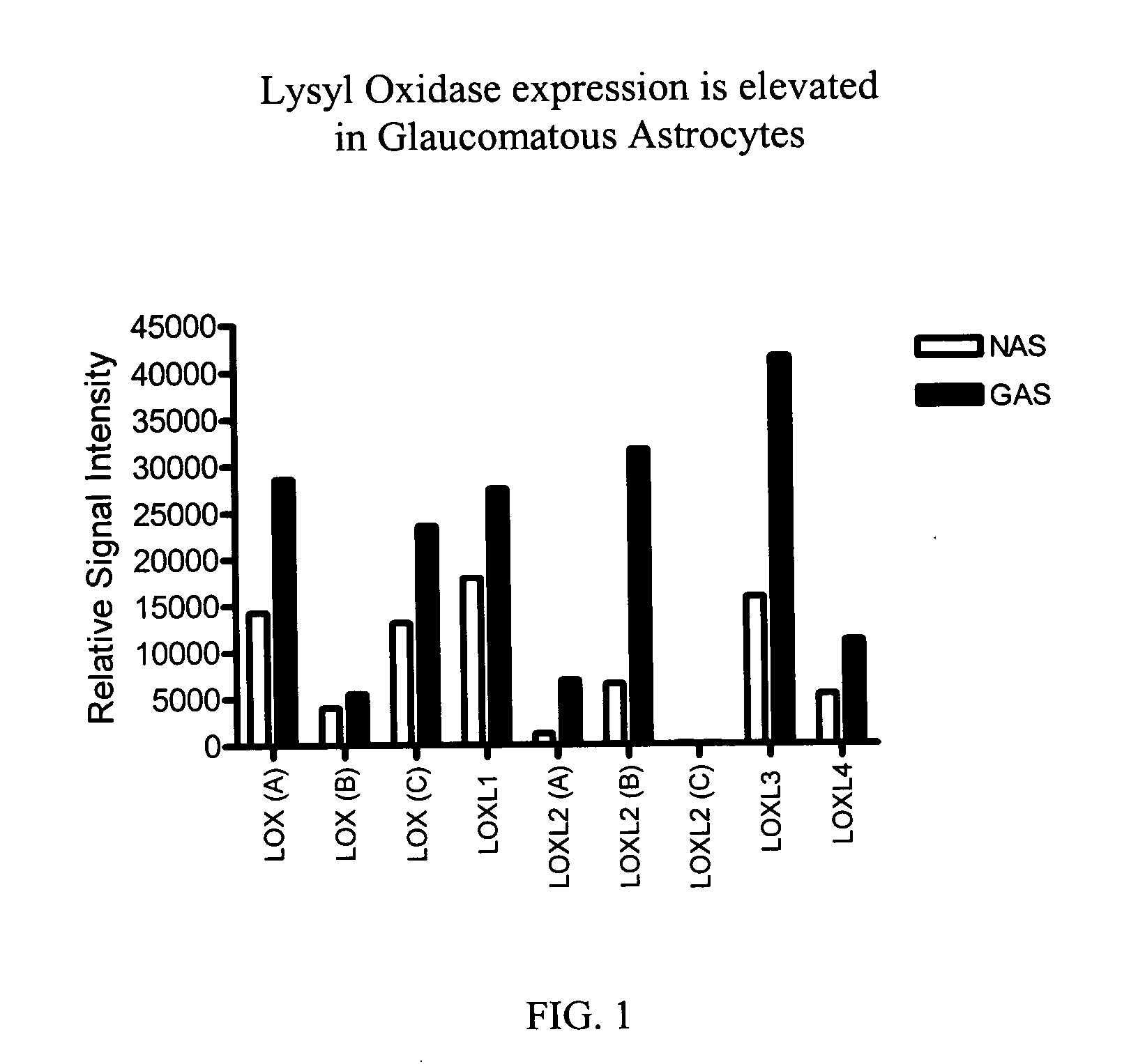 Agents which regulate, inhibit, or modulate the activity and/or expression of lysyl oxidase (LOX) and LOX-like proteases as a unique means to both lower intraocular pressure and treat glaucomatous retinopathies/optic neuropathies