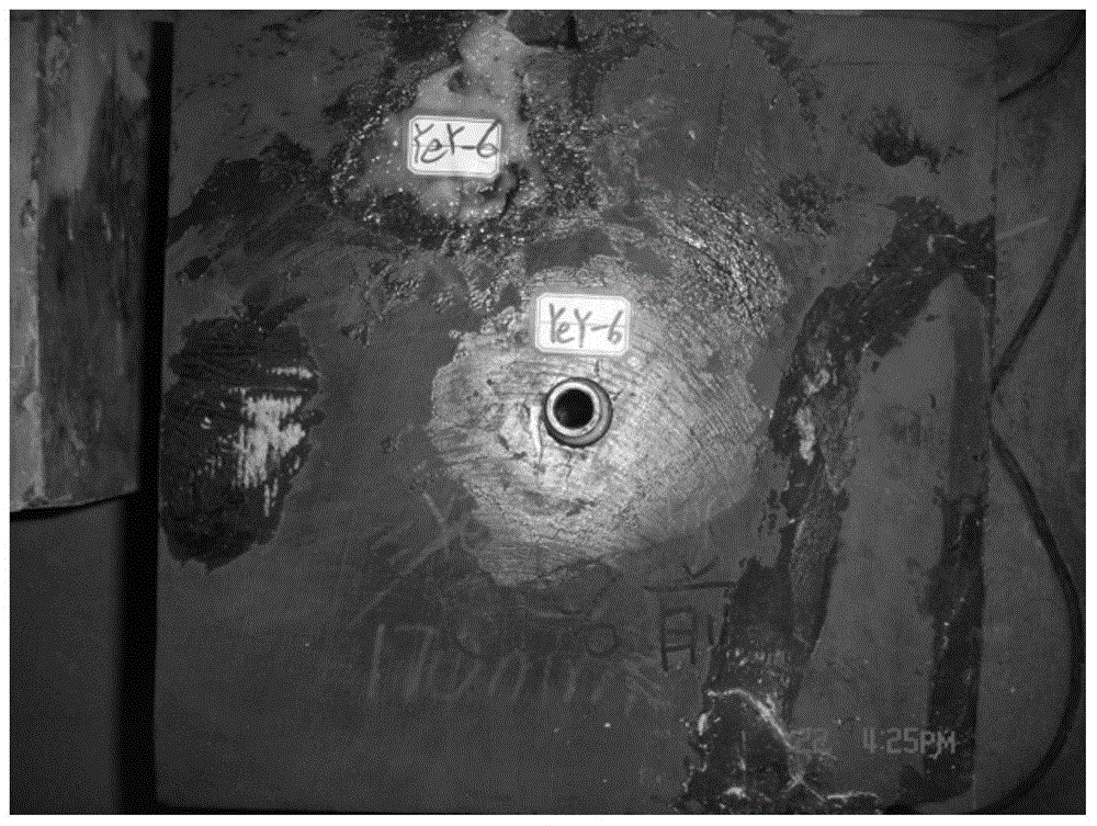 Physical simulation system and method for fracture propagation in shale