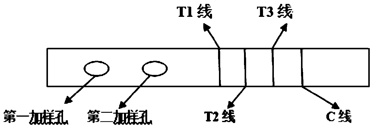 Test strip for joint detection of COVID-19 antigen and antibody and application thereof