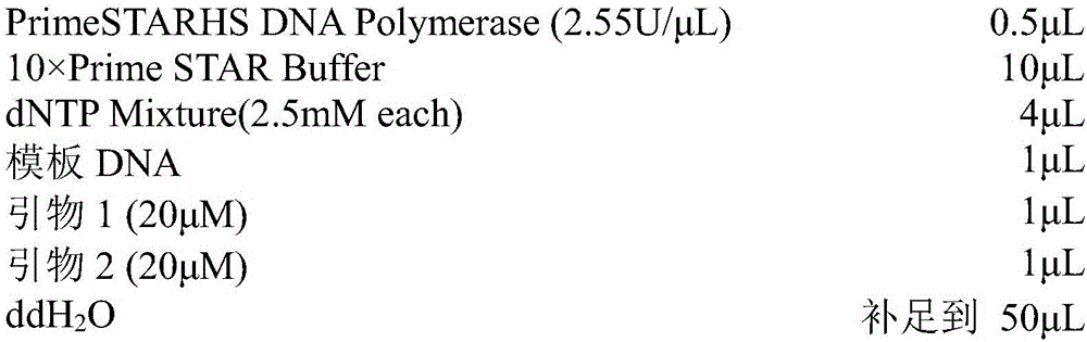 Esterase and application thereof