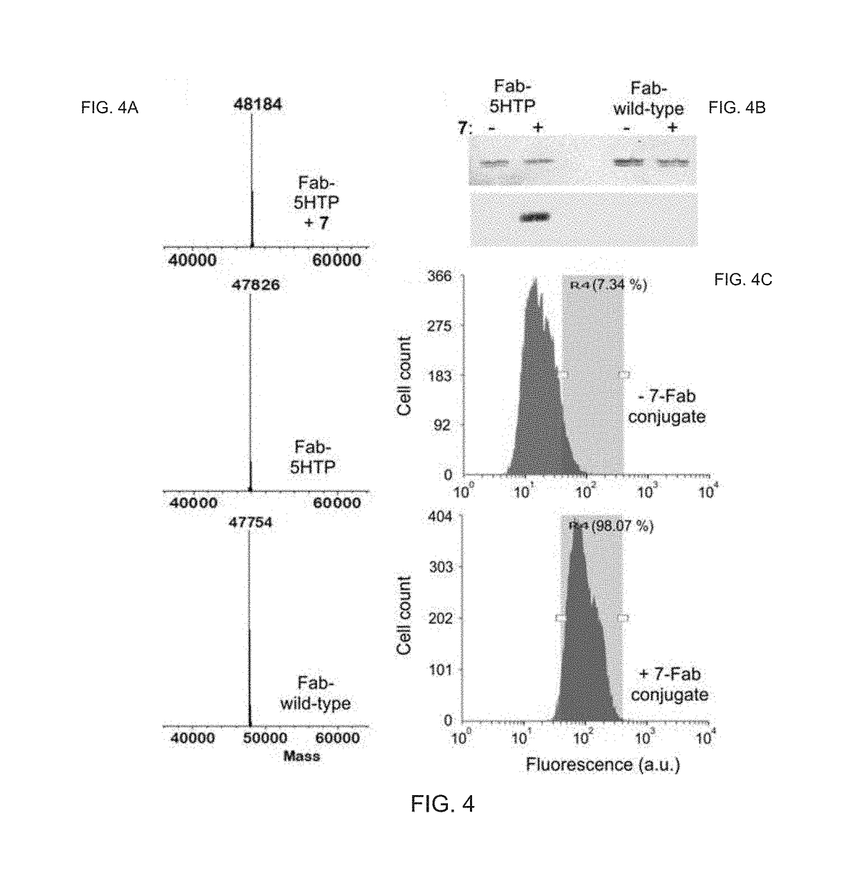 Chemoselective Rapid Azo-Coupling Reaction for Bioconjugation