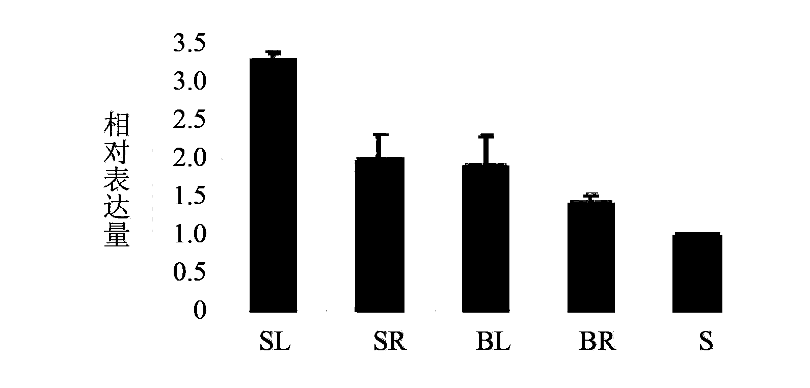 Stress tolerance associated protein TaSAP1 of plants as well as coding gene and application thereof