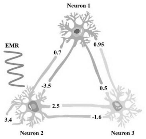 Hopfield neural network system based on electromagnetic radiation effect, processor chip and terminal