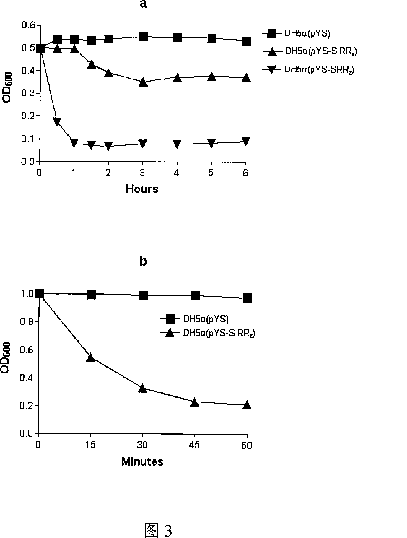 Method of breaking wall of bacteriophage expressing lytic gene under control of magnesium ion