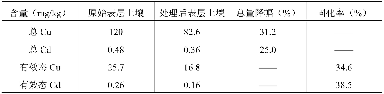 Method for lowering heavy-metal superstandard risk of soil of perennial continuous cropping facilities