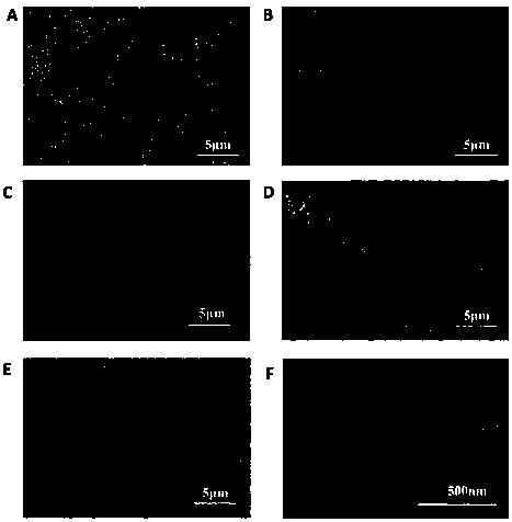 Spherical catalyst with Pd wrapped by cerium dioxide and preparation method thereof