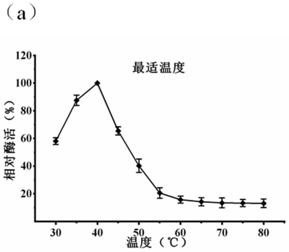 Beta-N-acetylglucosaminidase 159 as well as cloning expression and application thereof