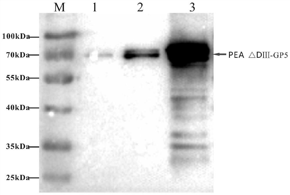 Subunit vaccine for porcine reproductive and respiratory syndrome as well as preparation method and application of subunit vaccine