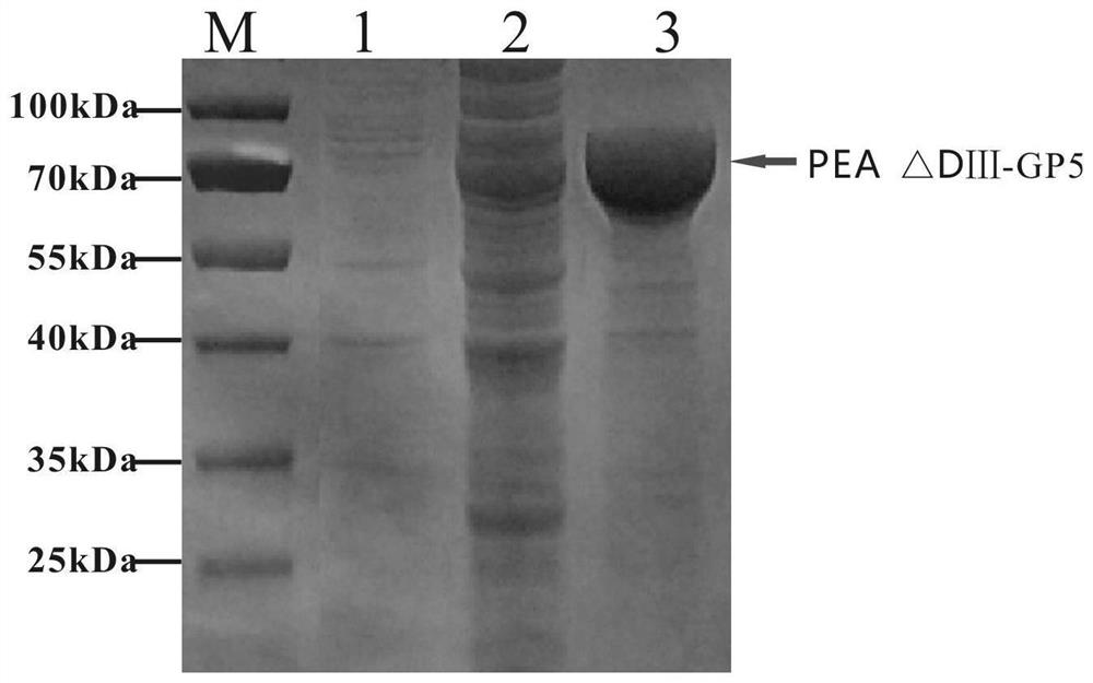 Subunit vaccine for porcine reproductive and respiratory syndrome as well as preparation method and application of subunit vaccine