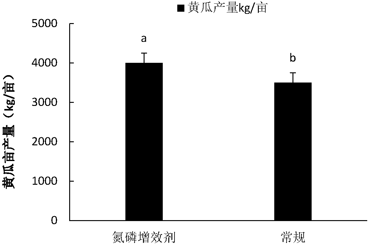 Nitrogen and phosphorus synergist containing earthworm hydrolysate, as well as preparation method and application of nitrogen and phosphorus synergist