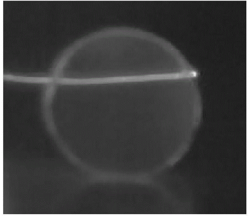 Chalcohalide glass and preparation method thereof